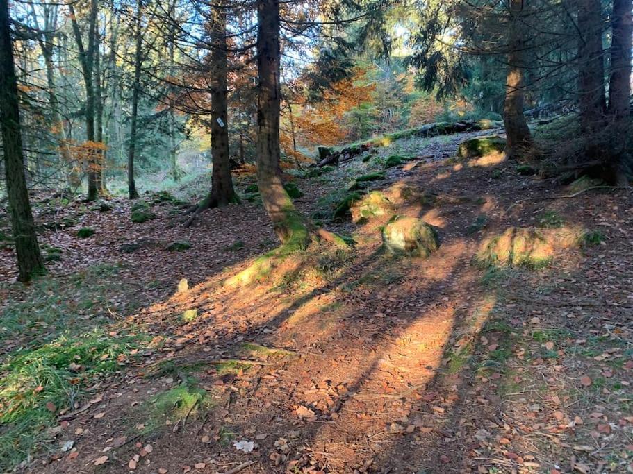 Jermerstein-Haeuschen Braunlage Exterior foto